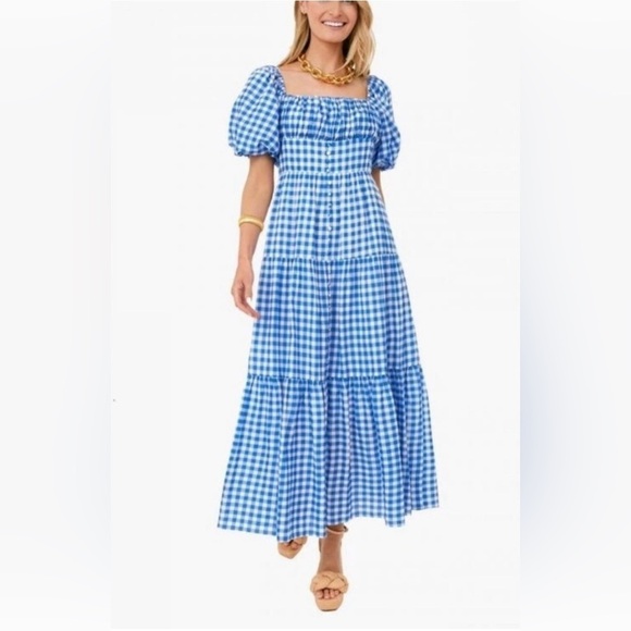 Hyacinth House Dresses & Skirts - Hyacinth House Harper Maxi Dress Blue Gingham Tuckernuck